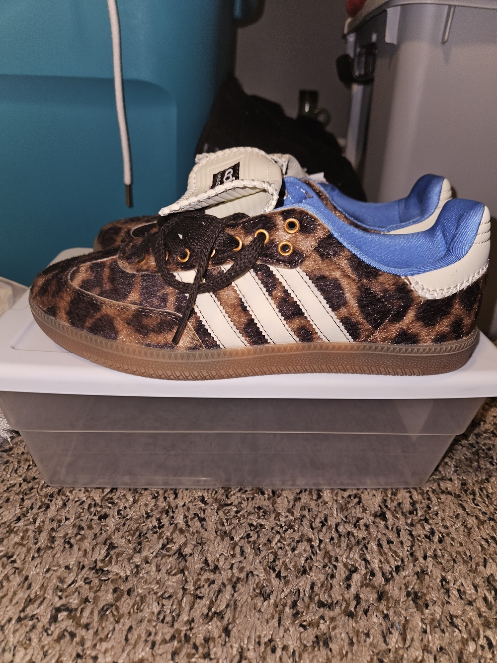 Leopard Print Sneakers